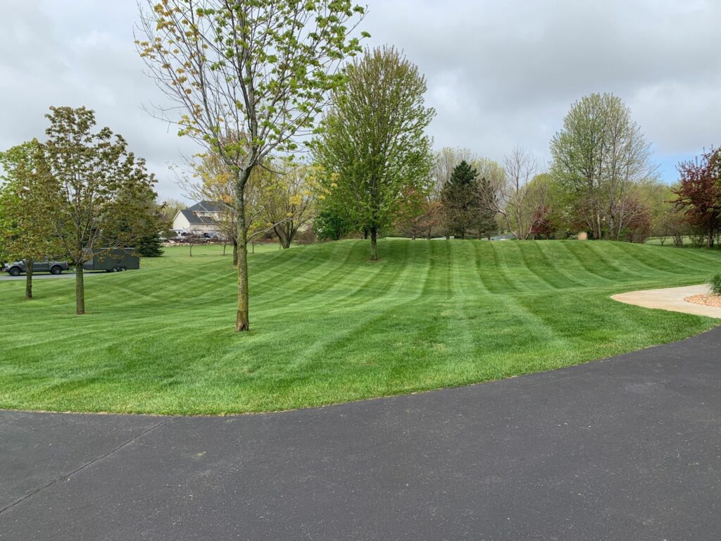 Premium Lawn Services in Rosemount, MN to Transform Your Lawn